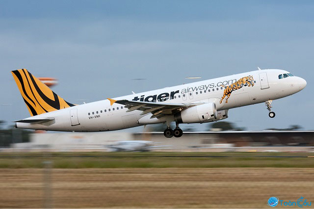 Tiger Airways, hãng hàng không giá rẻ nổi tiếng ở Châu Á
